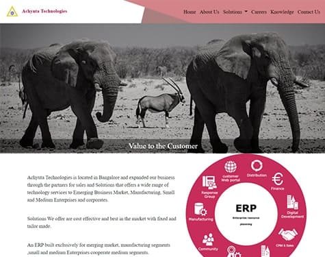 portfolio-5